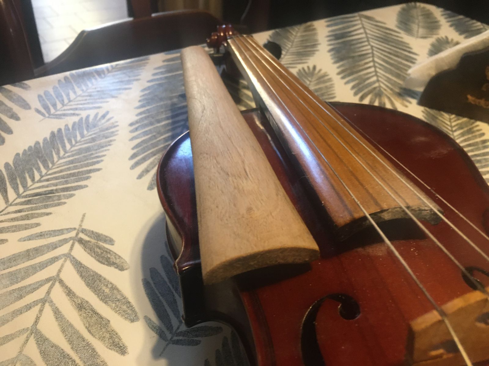 WhatsApp Image 2025-04-27 at 23.11.13.jpeg